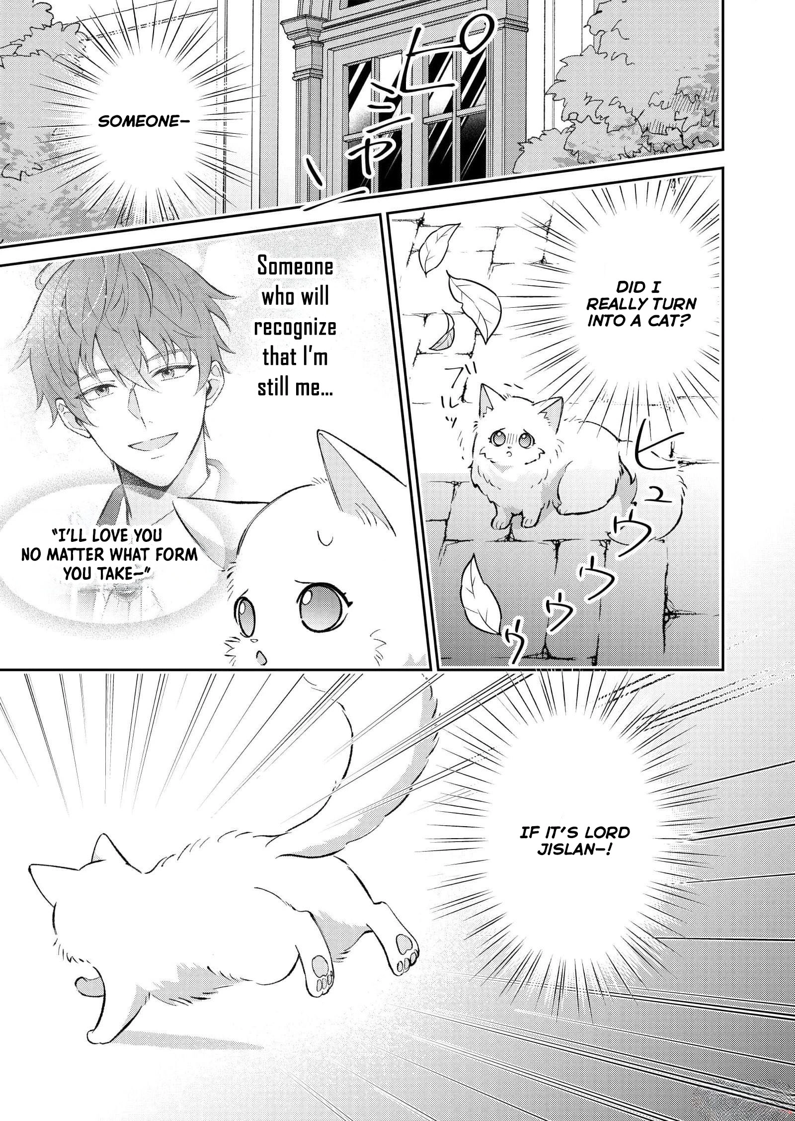 The Lady Betrayed by Her Fiancé Is Beloved by the Stern Lord Chapter 1 Page 10